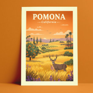 Vintage Pomona California Postcard