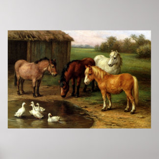 Vintage Ponies And Ducks Farm Animals Poster