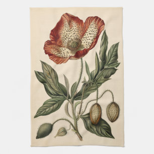 Vintage Poppy Botanical Illustration Tea Towel