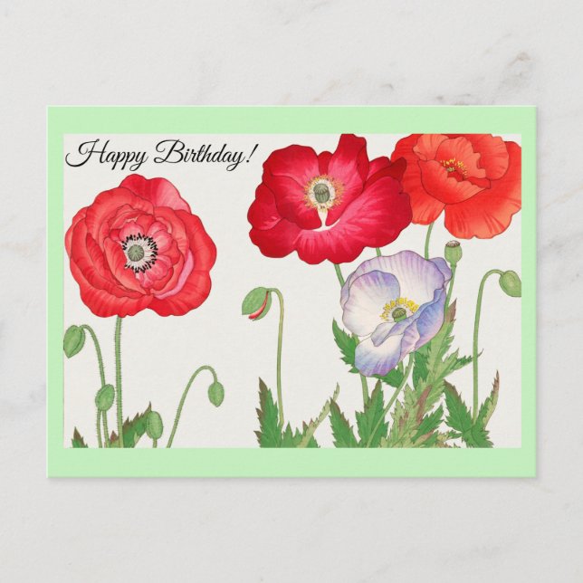 Vintage poppy flower  postcard (Front)