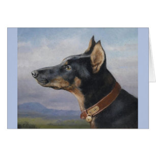 Vintage - Portrait of a Doberman Pinscher,