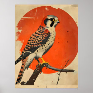 Vintage Portrait of the American Kestrel Poster