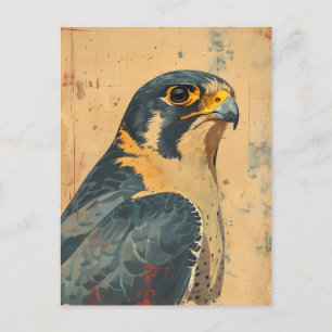 Vintage Portrait of the Merlin Falcon Postcard
