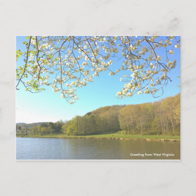 Vintage Post Card (Front)