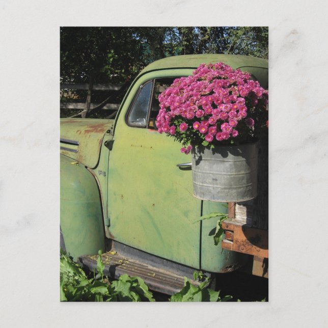 Vintage Postcard (Front)