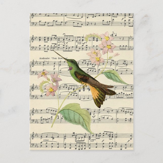 vintage postcard botanical hummingbird music (Front)