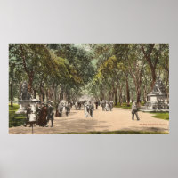 Vintage Postcard Central Park New York City