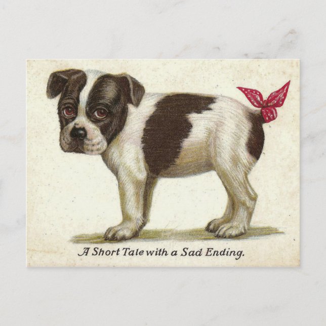 Vintage Postcard Reproduction - Sad Puppy Dog (Front)