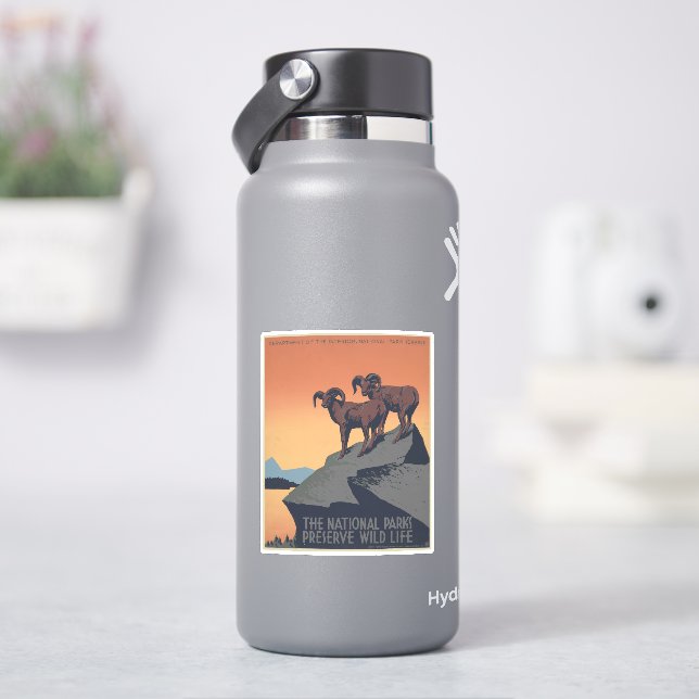 Vintage Poster Promoting Travel To National Parks (HydroFlask)