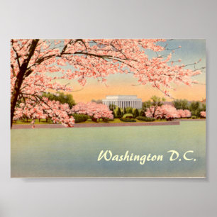 Vintage Poster, Washington DC Poster