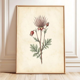 Vintage Prairie Botanical Art Print