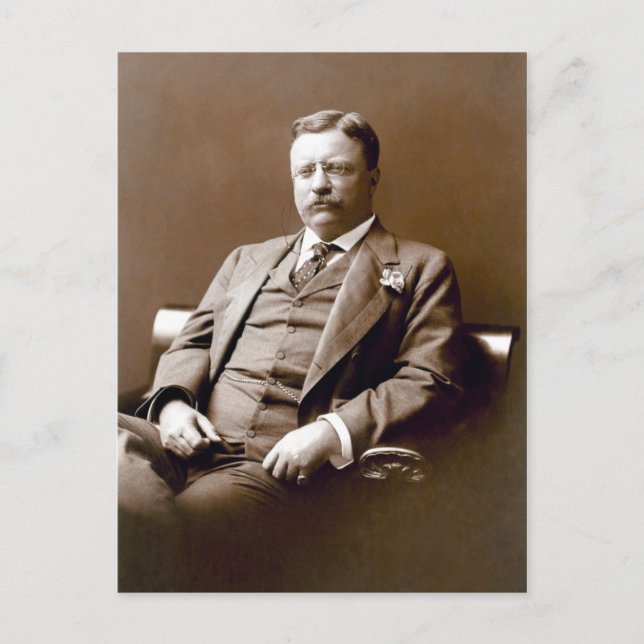 Vintage President Theodore Teddy Roosevelt Postcard (Front)