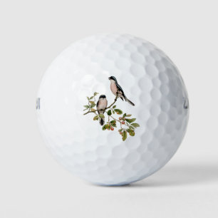 Vintage Pretty Birds on a Branch Golf Balls