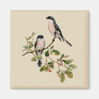 Vintage Pretty Birds on Beige
