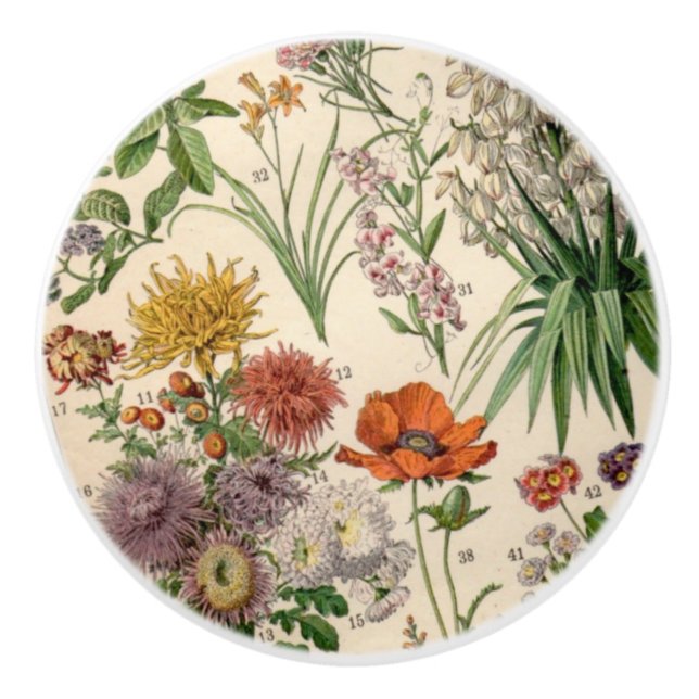 Vintage Pretty Botanical Flowers Ceramic Knob (Front)