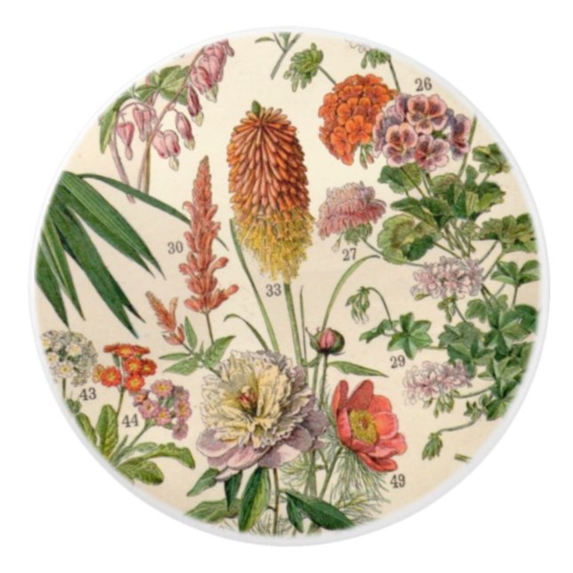 Vintage Pretty Botanical Flowers Ceramic Knob (Front)
