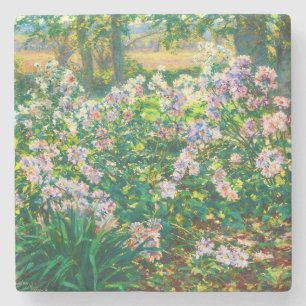 Vintage pretty flowers Windflowers illustration Stone Coaster