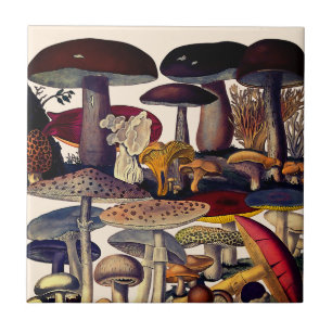 Vintage pretty mushrooms illustration ceramic tile