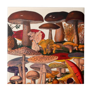 Vintage pretty mushrooms illustration ceramic tile