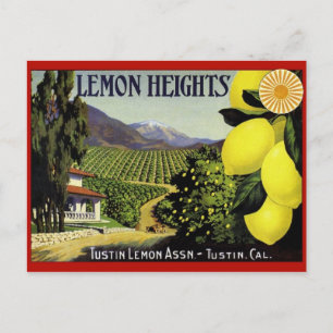 Vintage Produce Crate Label Postcard