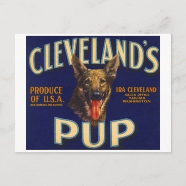 Vintage Produce Crate Label Postcard (Front)