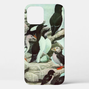 Vintage Puffins and Aquatic Birds by Louis Fuertes iPhone 12 Case