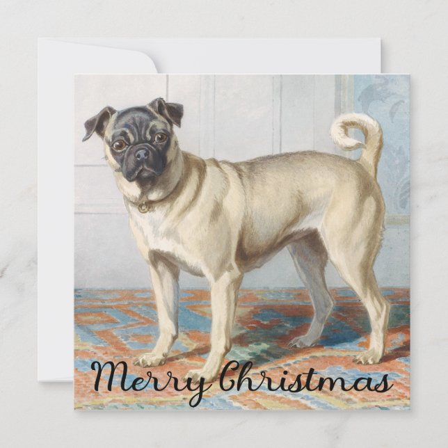Vintage Pug Christmas Card  (Front)