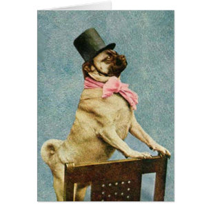Vintage Pug Dog Stereoview Card