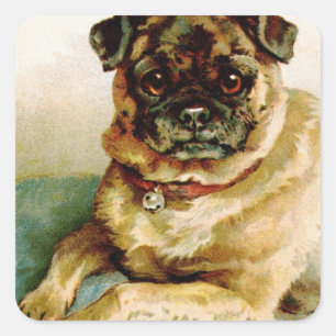 Vintage Pug Love Square Sticker