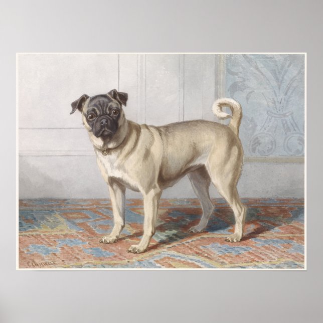 Vintage Pug Poster (Front)