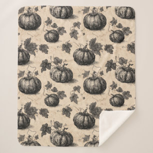 Vintage Pumpkin and Vine Engraving Pattern (2) Sherpa Blanket