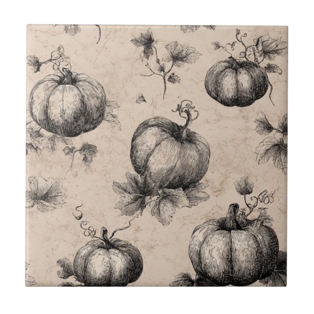 Vintage Pumpkin and Vine Engraving Pattern Ceramic Tile (Front)