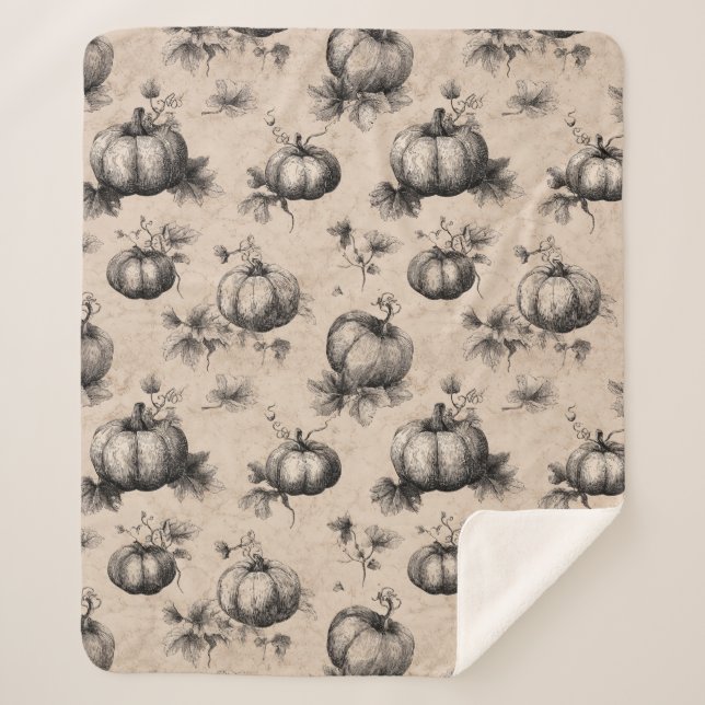 Vintage Pumpkin and Vine Engraving Pattern Sherpa Blanket (Front)