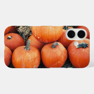 Vintage Pumpkin Pile iPhone 16 Case
