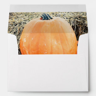 Vintage Pumpkin Pile Envelope