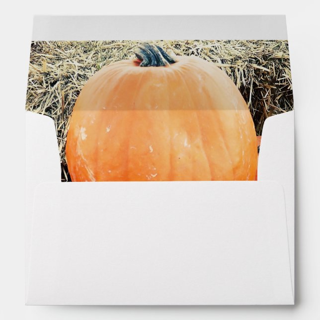 Vintage Pumpkin Pile Envelope (Back (Bottom))