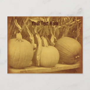 Vintage Pumpkins Cornstalks Customisable Postcard