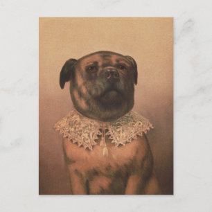 Vintage Pup Postcard