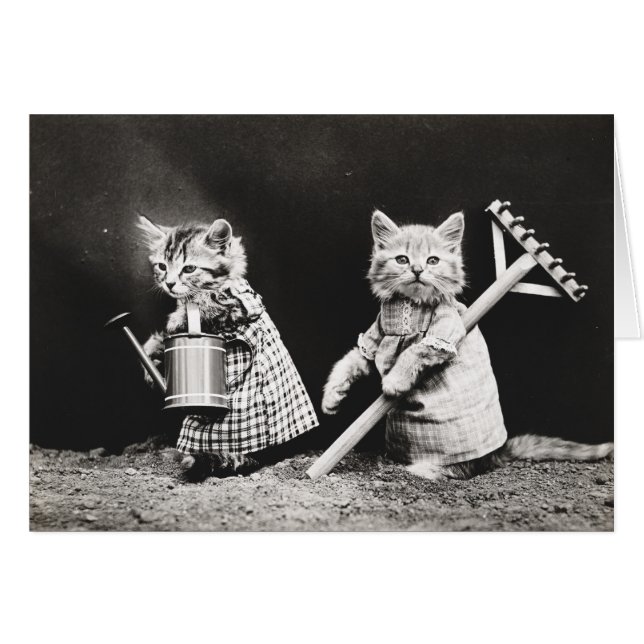 Vintage Puppies and Kittens Note Cards (Front Horizontal)