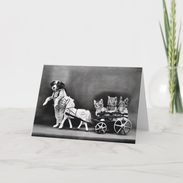 Vintage Puppies and Kittens Note Cards (Front)