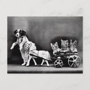 Vintage Puppies and Kittens Postcard