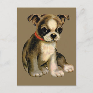 Vintage Puppy Postcard