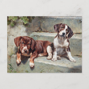 Vintage Pups Postcard