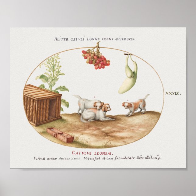 Vintage Pups Poster (Front)