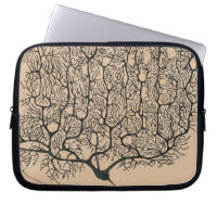Vintage Purkinje Neuron Anatomical Drawing Doctor
