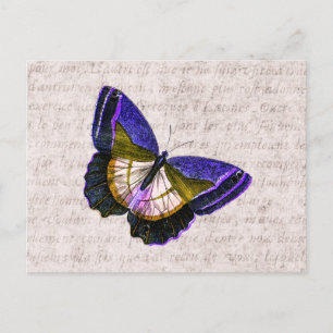 Vintage Purple and Gold Butterfly Illustration Postcard