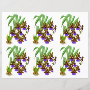 Vintage Purple Burgundy Orchid Flower