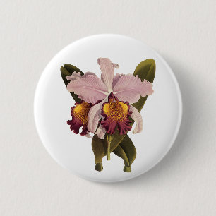 Vintage Purple Cattleya Orchid, Tropical Flowers 6 Cm Round Badge