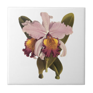 Vintage Purple Cattleya Orchid, Tropical Flowers Ceramic Tile