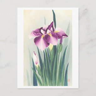 Vintage Purple Iris from Japan Postcard